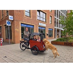 Babboe Big Bakfiets met Deurtje en Huif