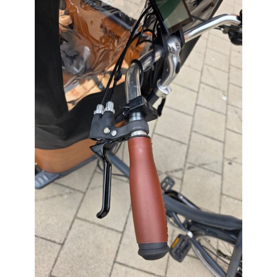 Elektrische Babboe Curve Bakfiets Moederfiets met Huif