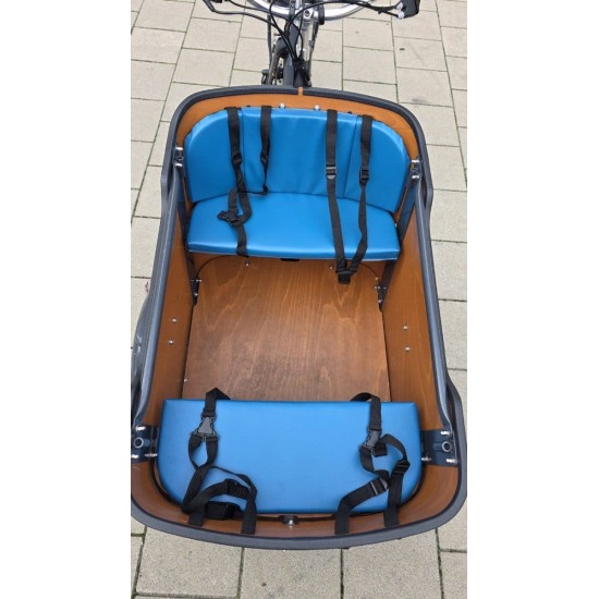 Babboe Curve Elektrische Bakfiets - 4 Kinderen - V