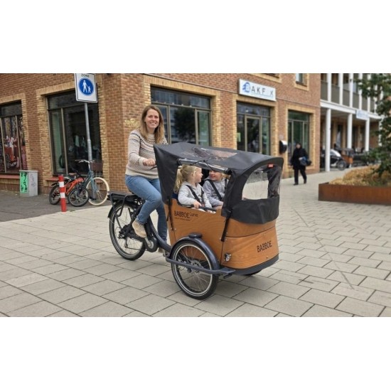 Babboe Curve Elektrische Bakfiets - 4 Kinderen - V