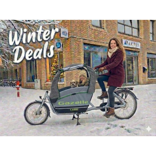 Gazelle Cabby Bakfiets - Perfect voor Familie!