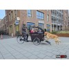 Babboe Dog Bakfiets - Ideaal voor hond en kinderen!