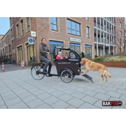 Babboe Dog Bakfiets - Ideaal voor hond en kinderen!