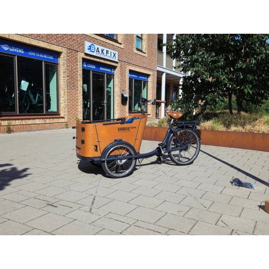Babboe Curve/Go Dog Elektrische Bakfiets met Regentent