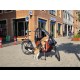 Niet-elektrische Bakfiets met Hondenluik - Ideaal voor Honde