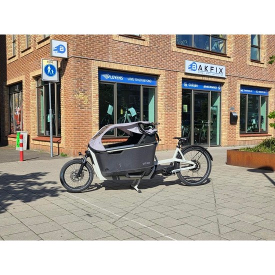 Elektrische CA GO Bakfiets - Ideaal voor Gezin en Goederen