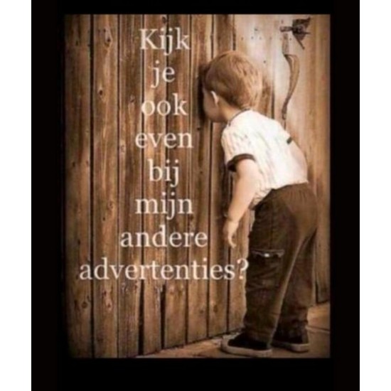 Batavus Quip E-bike met Kinderzitje – Comfort & Veiligheid