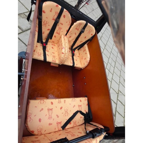 Elektrische Babboe Big bakfiets hondenbakfiets