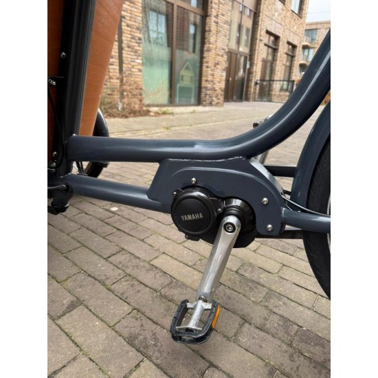 ????Babboe Carve mountain bakfiets met Perfect voor gezinnen!