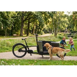 Carqon Hondenbakfiets met Deurtje - Ideaal voor Honden