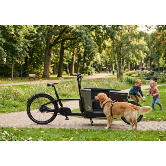 Carqon Hondenbakfiets met Deurtje - Ideaal voor Honden