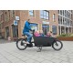 Urban Arrow Cargo Line Family Bakfiets