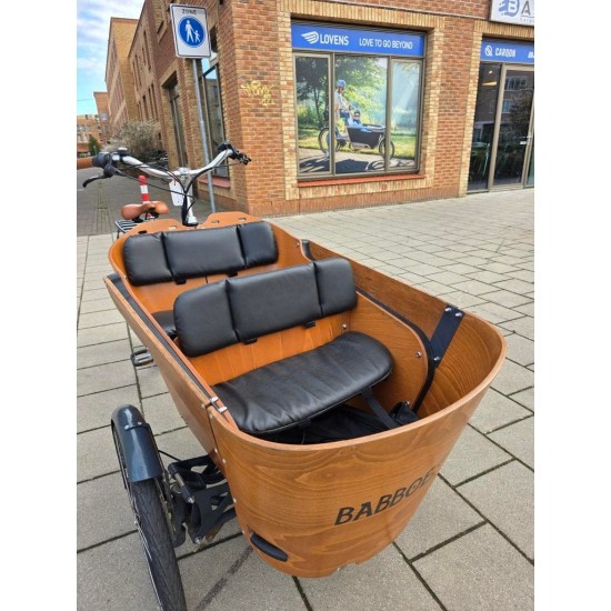Elektrische Babboe Carve Mountain Bakfiets