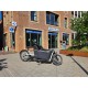 Elektrische CA GO Bakfiets - Ideaal voor Gezin en Goederen