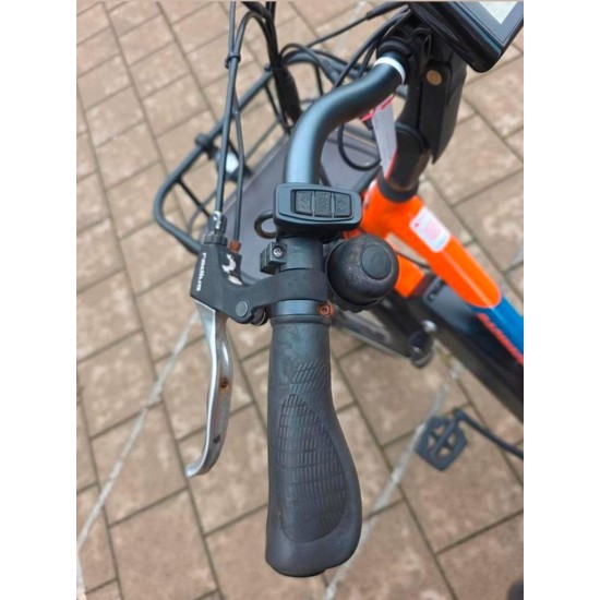 Radwagon 4 longtail tweelingfiets geschikt voor 2 kinderen