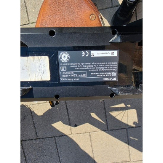Elektrische Cargo bike long Shimano Steps Cruise