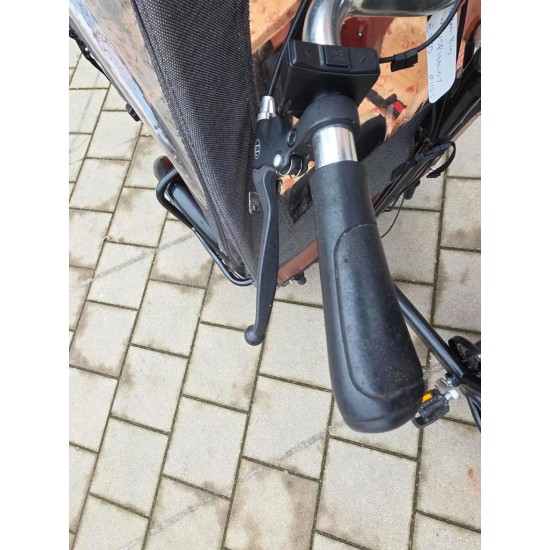 Elektrische Babboe Big bakfiets hondenbakfiets