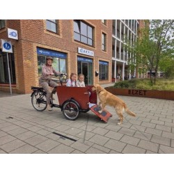 Babboe Dog bakfiets - Ideaal voor honden en kinderen