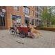 Babboe Dog bakfiets - Ideaal voor honden en kinderen