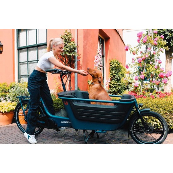Winora Fub 2 bakfiets - nieuw!