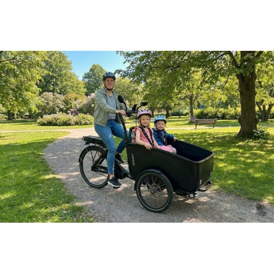 Elektrische Winther Deluxe Bakfiets