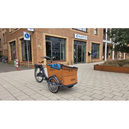 Babboe Curve Elektrische Bakfiets - 4 Kinderen - V