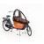 CargoBike Short: regentent zwart  + €229.00 