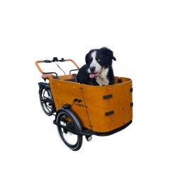 Cangoo Buckle-Dog Lastenfahrrad mit Mittelmotorhaube und Kissen