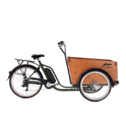 Cangoo Easy Electric dog cargo bike cargo bike 6 gears
