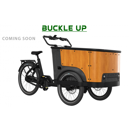 Cangoo Buckle UP Electric Cargo Bike black - brown