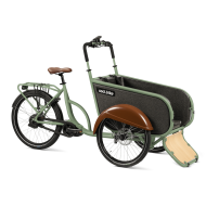 SociBike Compact Tricycle Cargo Bike Pale Green