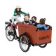 Electric tricycle cargo bike (hand brakes and 7 gears)