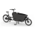 Black Graphite 